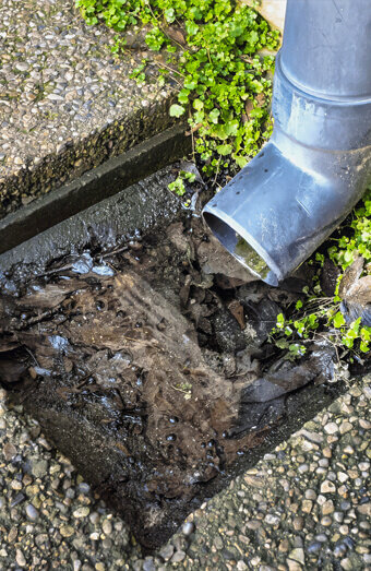 https://beaconsfieldblockeddrains.com.au/uploads/2025/07/hero-blocked-sewers-20143.jpg