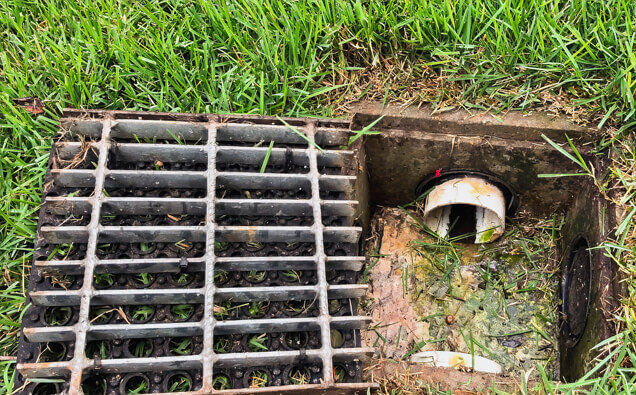 https://beaconsfieldblockeddrains.com.au/uploads/2025/07/hero-blocked-sewers-40191.jpg
